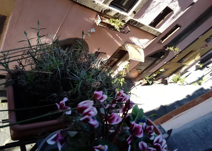 Alloggio Turistico Centro Storico Malatesta