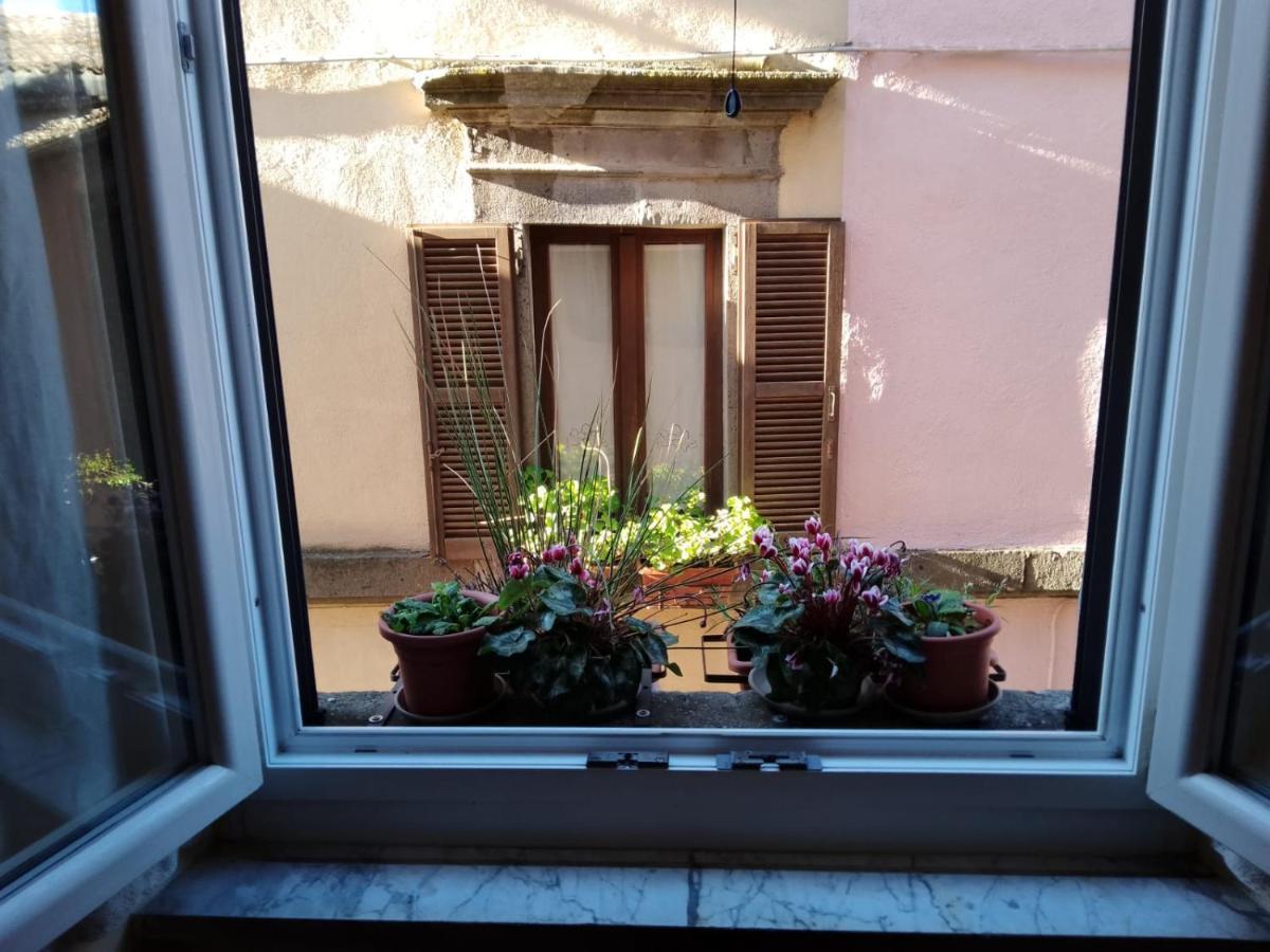 Turistico Centro Storico Malatesta Alloggio in famiglia *